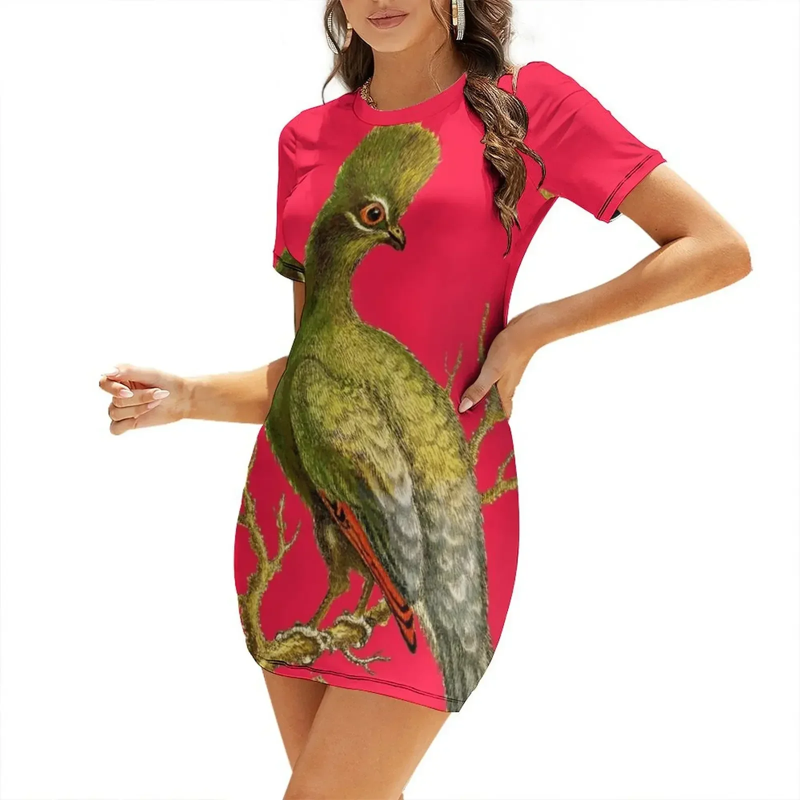 Touraco - Bird HD vintage imag - Women'S Fashion Dresses Images 리뷰 및 가격