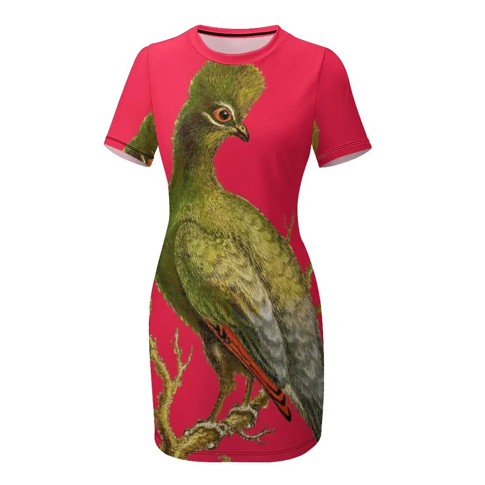 Touraco - Bird HD vintage imag - Women'S Fashion Dresses Images 리뷰 및 가격