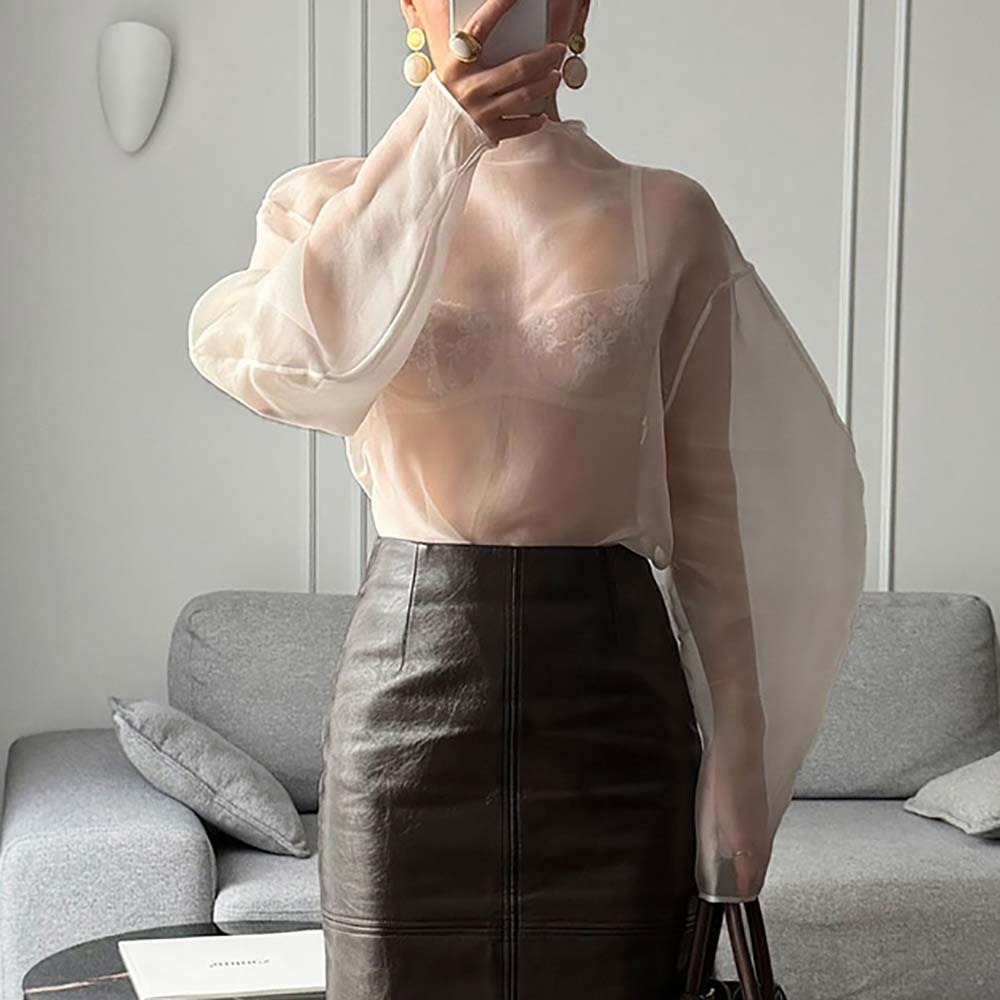 Chic Long Sleeve Mesh Blouse H - Wrap Blouse Chiffon 리뷰 및 가격