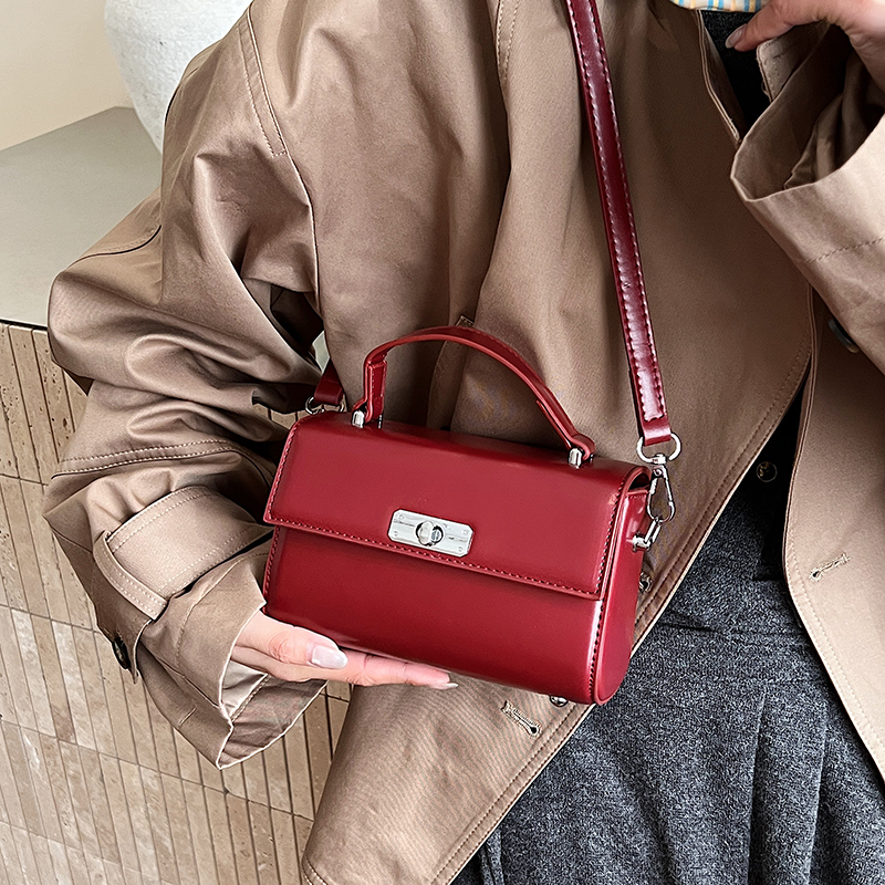 Exquisite Mini Top-handle Bags - Women'S Fashion Boutique 리뷰 및 가격