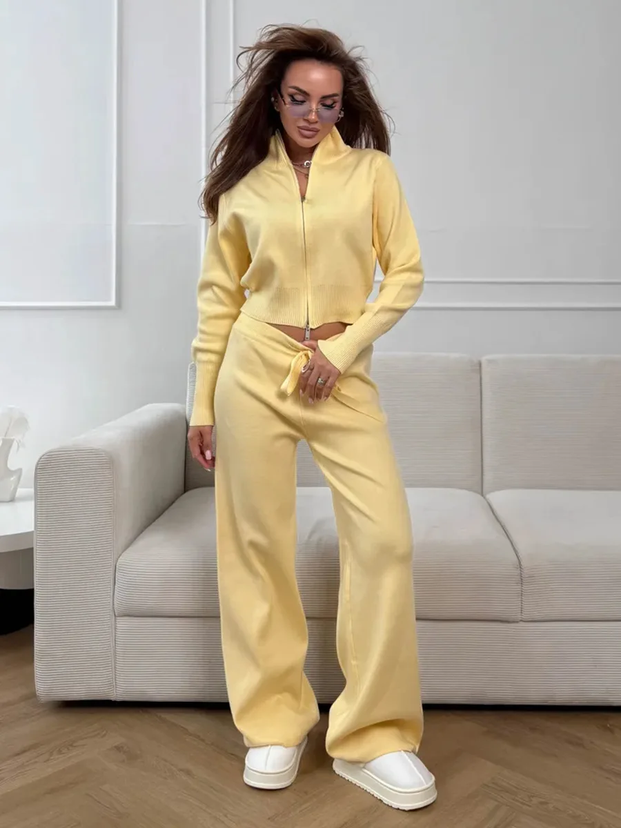 Wolfeel  New Autumn Winter Zip - Wide Leg Palazzo Pants 리뷰 및 가격